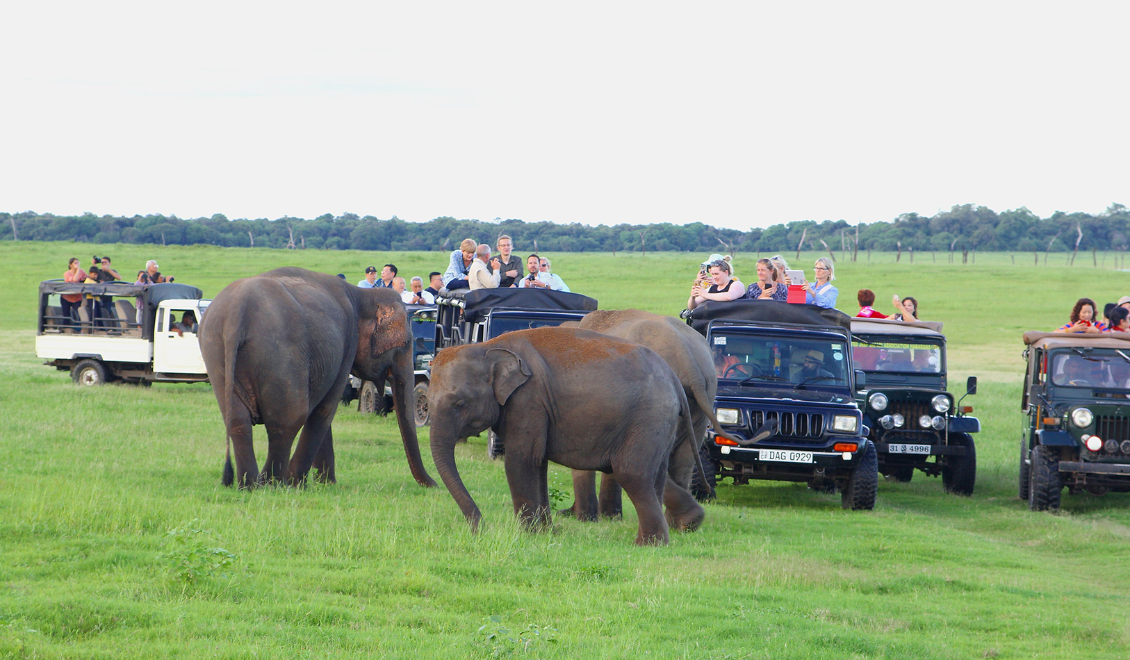 Absolute Island Expedition